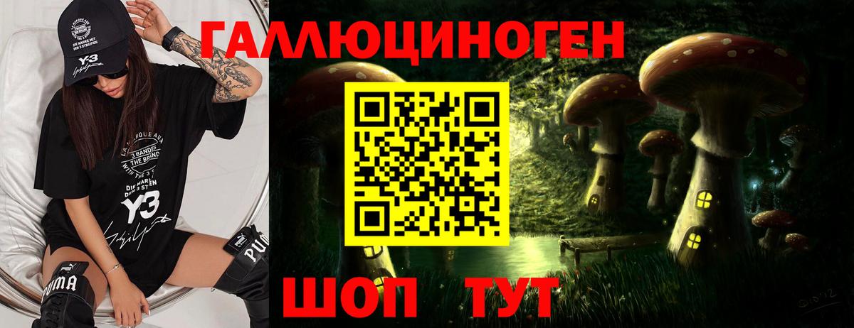 Псилоцибиновые грибы GOLDEN TEACHER Мыски